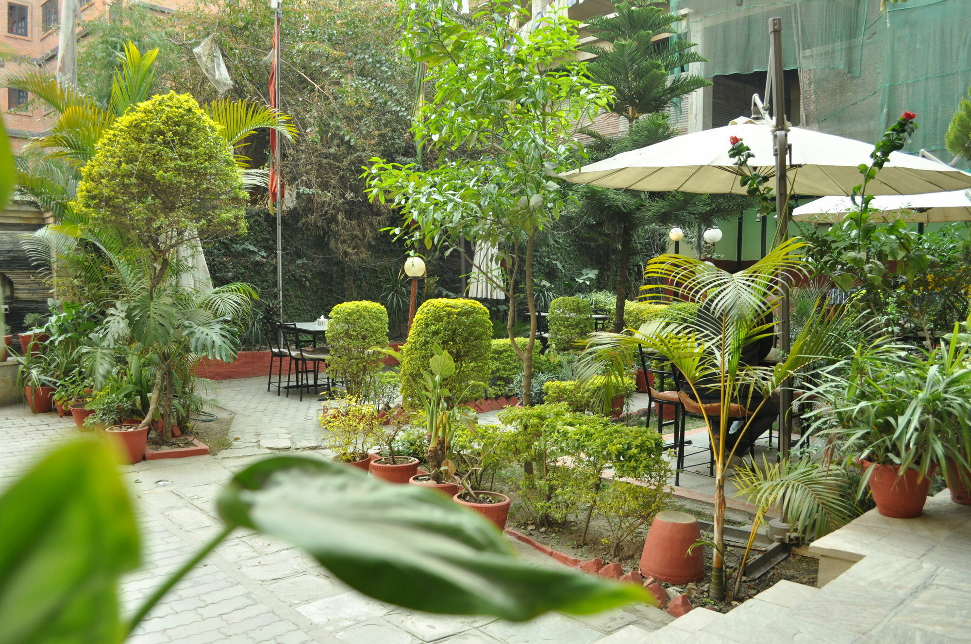 Hotel Florid Kathmandu Ngoại thất bức ảnh